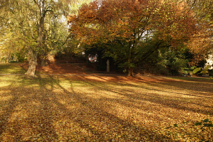 Herbststimmung in Münster